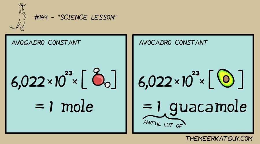 Science lesson