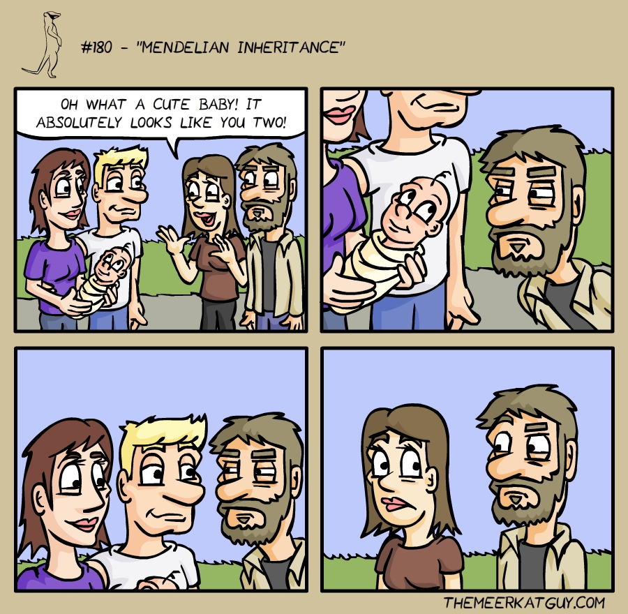 Mendelian inheritance